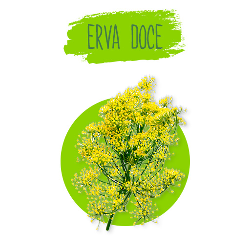 erva-doce