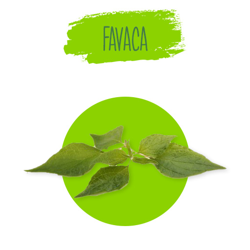 favaca